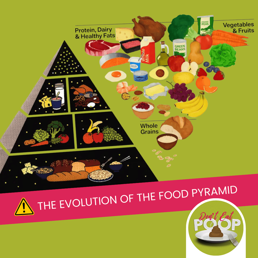 A Look Into the Evolution of the U.S. Food Pyramid | Episode 151 featured image
