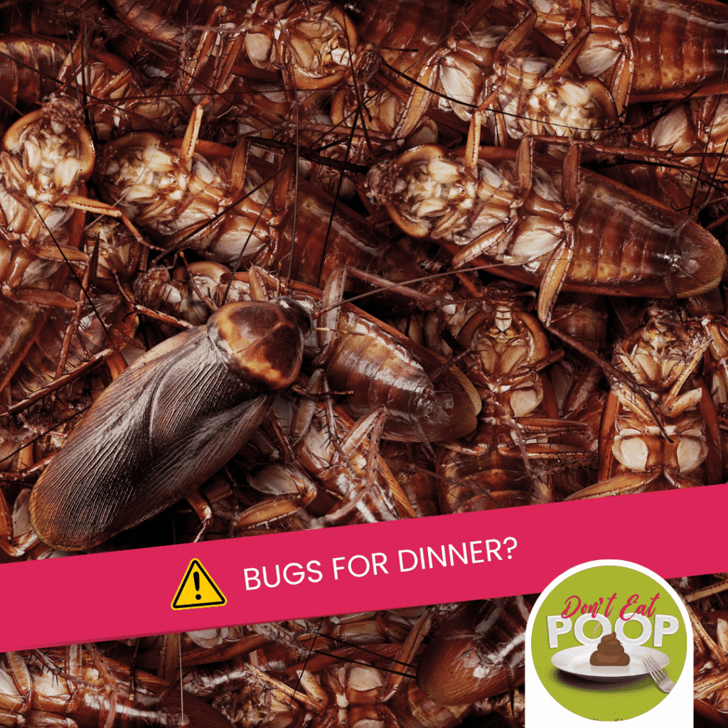 Insects & Lab-Grown Meat: The Future of Food Safety Compliance | Episode 160 featured image