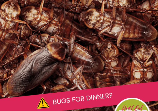 Insects & Lab-Grown Meat: The Future of Food Safety Compliance | Episode 160 featured image